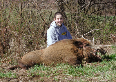 Wild Boar Hunt