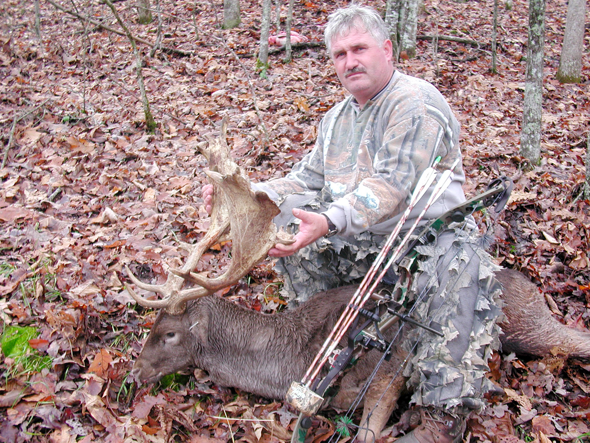 Fallow Deer | Caryonah Hunting Lodge