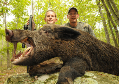 Wild Boar Hunt