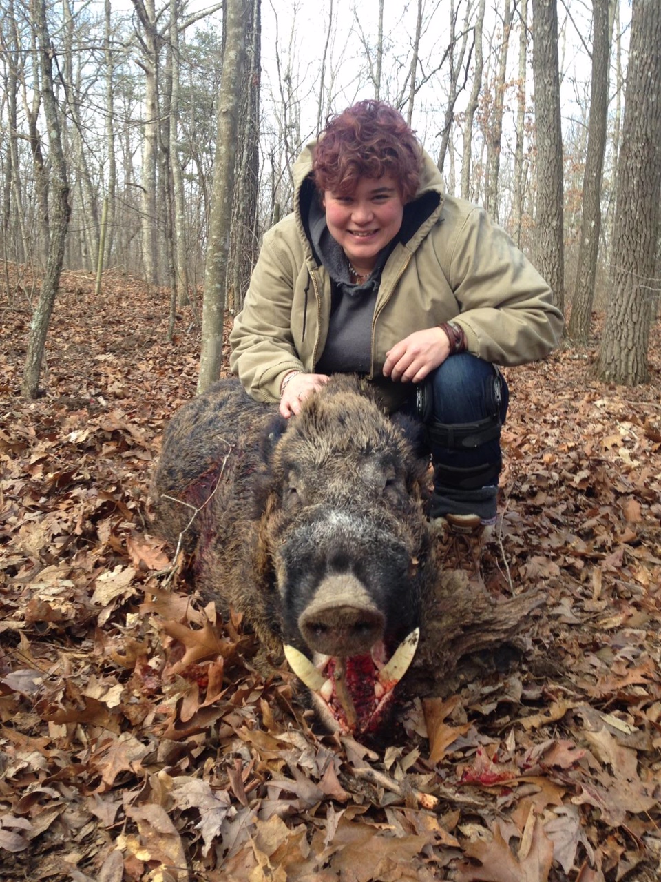 httpshuntingwild boar