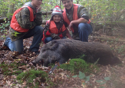 Wild Boar Hunt