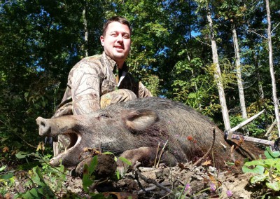 Wild Boar Hunt